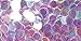 Stargazer Chunky Glitter Shaker, UV White