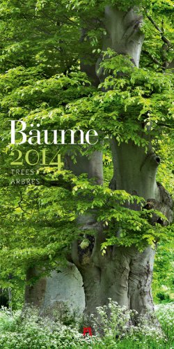 Bäume 2014
