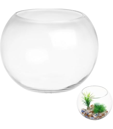 FRCOLOR platte visbak planten terrariumschaal schaal glazen vaas plantenpotten kantoor decoratie mini potten ovale plant gevoelige aquariumbekken bed taquarium voor het huishouden