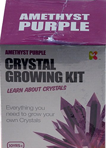 The Source Wholesale DIY Magical Crystal Growing Experimental Kit - Purple