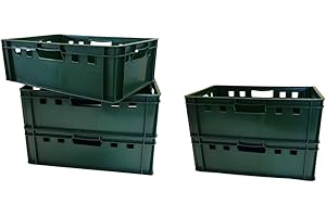 CANISTER SALES 5 Stück E2 Kisten 60x40x20 cm Fleischkiste Lagerkiste Metzgerkiste Eurobox grün