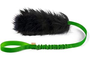 HOWGO Dog Rope Toy,Dog Bungee Chaser 100% Sheepskin,Sheep Smell Tug Toy for All Breeds (Green, Long without Ball)