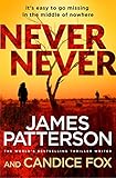Never Never: (Harriet Blue 1) (Detective Harriet Blue Series)