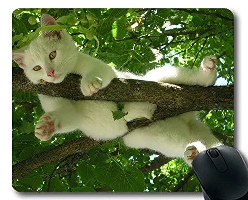 Preisvergleich Produktbild Mausunterlage, niedliche lustige Katzenmausunterlage des Zweigzweigs, Mäusematte für Computer cat275
