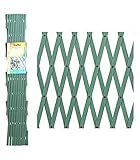 Medidas: 2x1(alt) m. Papillon 8091535 Celosia PVC Verde Extensible 2x1 Metros.
