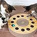 Produktbild Househome Katzenkratzbrett Spielzeug Katze Interaktive Wellpappe Plattenspieler Spielzeug mit Katzenminze und 2 Glocken
