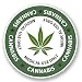 Produktbild DestinationVinyl 2 x 10cm/100mm Cannabis Vinyl Selbstklebende Sticker Aufkleber Laptop Reisen Gepäckwagen Cool Zeichen Spaß #5871