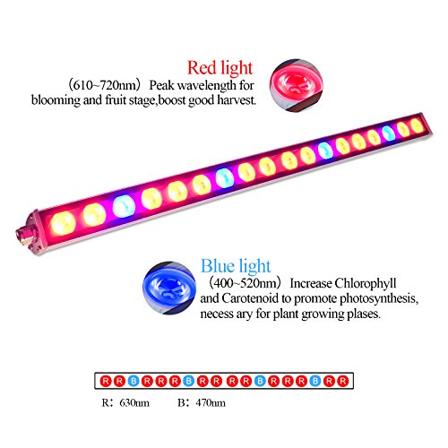 Roleadro ® 54w Led Grow Light Bar für Gewächshaus Pflanze IP65 Waterproof Blue and Red Light 550x30x30mm (1 ,54w) - 2