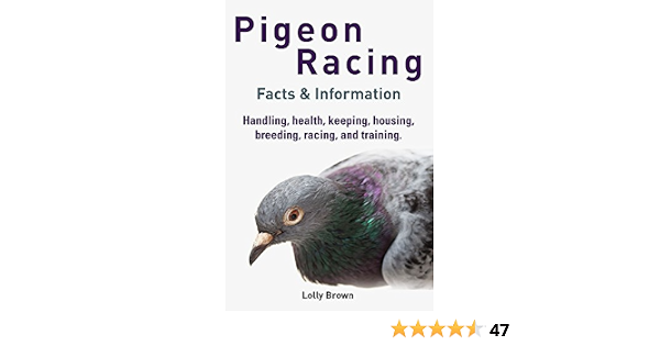 Pigeon Racing Handling Health Keeping Housing Breeding Racing And Training Facts Information English Edition Ebook Brown Lolly Amazon De Kindle Shop