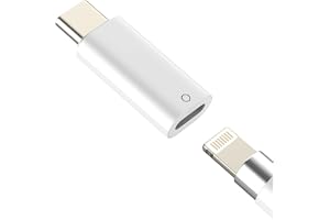 USB C hane till Lightning kvinnlig adapter för Apple Pencil 1:a generationen för iPad tillbehör för iPhone kabel Pen uttag la