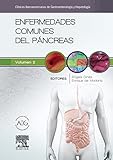 Image de Enfermedades comunes del páncreas: Clínicas Iberoamericanas de Gastroenterología y Hepatología vol. 2