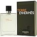 Hermes Terre D'Hermes Eau De Toilette Spray for Men - 100 ml