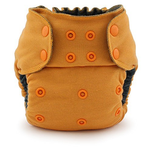 Kanga Care Ecoposh OBV Fitted Cloth Diaper (One Size, Saffron)