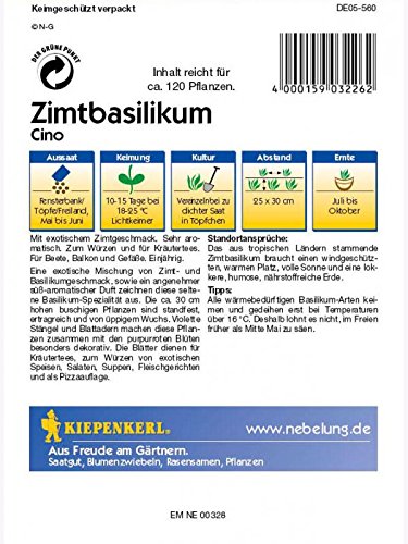 Kiepenkerl Zimtbasilikum Cino - 2