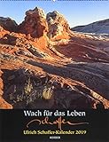 Wach für das Leben: Ulrich Schaffer-Kalender 2019 by 