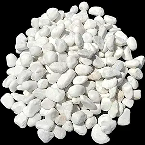 Sackorange 2 Pounds White Rocks Decorative Stone Pebble Sands for Bonsai Succulent Plants Ornament/Bottom Decoration Aquarium Fish Turtle Tank Landscape