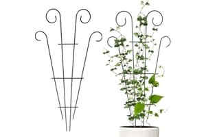 PRTECY Flueyer 2 Pcs Plant Trellis for Climbing Plants outdoor, Black Coated Fan Pot Trellis Garden Metal Support Stake for Indoor Outdoor Vines Flower Vegetable