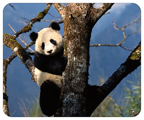 Panda Mouse Mat Printed with Seed