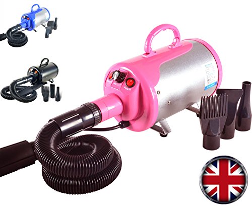Gravitis Pet Supplies 2800w Professional Pet Hair Dryer with Hose - A Powerful but Quiet Dog Dryer with Variable Speed (Pink)