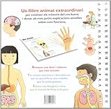 Image de El cos humà, un llibre interactiu