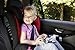 Diono Monterey 2 Group 2/3 Highback Booster Car Seat (Black)