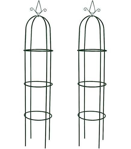 80 cm - Klimplantrekken kopen? | Korting tot 18 80 cm - Klimplantrekken kopen? | Korting tot 18