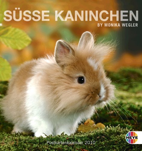 Download Süße Kaninchen 2010. Postkartenkalender Download Süße Kaninchen 2010. Postkartenkalender