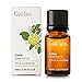 Produktbild Kalk Lime (Italien) - 100% Pure, unverdünnt, Bio, Natur & Therapeutische Grade ätherisches Öl für Aromatherapie Diffusor, Gesundheit Haut Raum und Entspannung 10 ml - Gya Labs