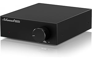Nobsound Mini Mono Subwoofer Verstärker: 100W HiFi Verstärker mit TPA3116 & Tiefpassfilter für Heimkino, Bass Shaker, Gaming, Subwoofer, Lautsprecher (NS-21G)