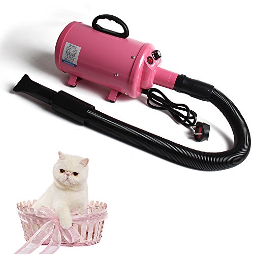 Display4top-Schoir-Sche-Poils-Toilettage-pour-Chiens-Chats-Animaux-2800W-Chaleur-et-Vitesse-RglableFiche-Standard-franaise
