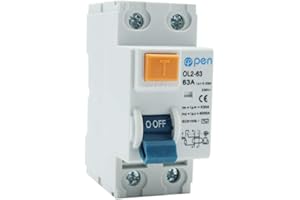 WEBN RCCB 2P 40A/63A 30mA Disjoncteur différentiel disjoncteurs de courant résiduel fuites court-circuit protection (63A)