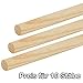 Produktbild elliot 1012985 Holzstab-Esche Ø 5 mm, 100 cm lang - 10 Stück