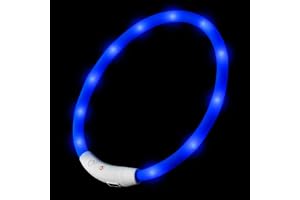LED hundhalsband i blått ljushalsband uppladdningsbar via USB-C halsband kan förkortas individuellt