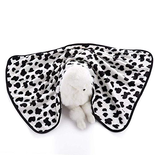 Couverture Canapé Chat