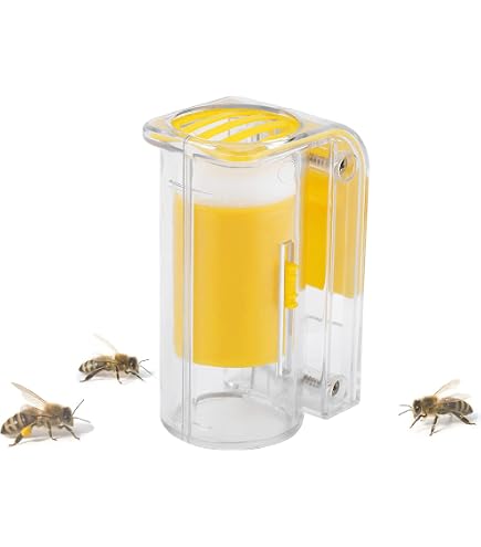 Bee Hive Frame Holder – 2 Pack Stainless Steel Beehive Frame Support For 5 Frames, Beekeeping Tool