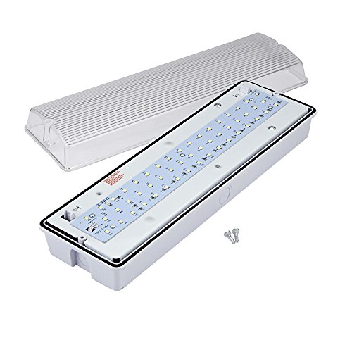 Biard LED Notbeleuchtung Notleuchte Orientierungslicht 7W- 7 Watt Notlicht Kühles Weiß – 345 mm x 107 mm Rechteckig – Strahlungswinkel 120° – Energiesparend 25000 Stunden Lebensdauer & 3 Stunden Autonomie – Optimale Sicherheit am Arbeitsplatz - 2