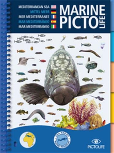 Download Marine Pictolife Mer Méditerranée : Waterproof