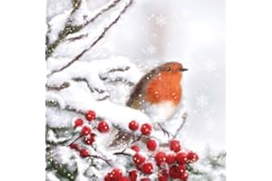 PARTYRAMA Robin In Snow Design Luncheon Napkins 3 Ply - 33cm - Pack of 20