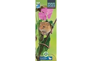 CAROUSEL CALENDARS 2023 RSPB British Wildlife Slim Calendar 2023