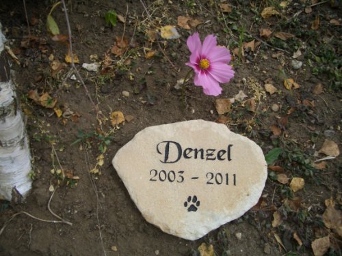 Natural-Personalised-Sandstone-Pet-Memorial-Stone-Plaque