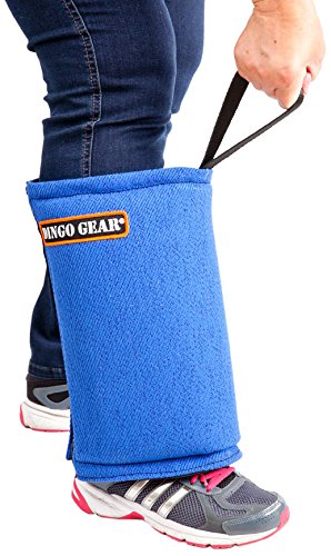 DINGO GEAR Morbido Materiale French Leg Training Short