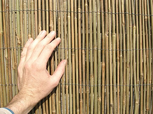 Sichtschutz aus Bambus 1m x 4m - 4