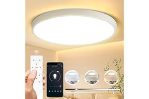 CANMEIJIA Lampa sufitowa LED, ściemniana, 24 W, lampy łazienkowe, panele sufitowe z pilotem zdalnego sterowania, 2520 lm, 3000-6500 K, funkcja timera i oświetlenia nocnego, podtynkowa lampa sufitowa do salonu, kuchni, sypialni, 30 cm
