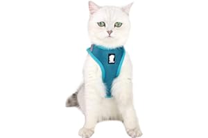 LIANZIMAU Katzengeschirr und Leine Ultraleicht für Fluchtschutz Verstellbarer weicher Netzschritt in gepolsterter Polsterung Laufweste Jacke für Kätzchen Haustiere Welpe Türkis