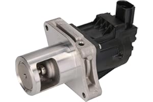 ‎PIERBURG Pierburg 7.24809.81.0 - AGR-Ventil