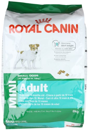 Royal Canin Dog Food Mini Adult 8kg