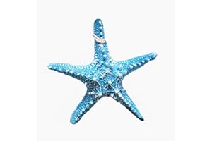 RAYLINE-DO RayLineDo Creative Mediterranean Style Design Beach Starfish Resin Five-Pointed Star in Light Blue Home Restaurant Kindergarten Wall Hanging Decoration