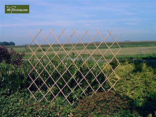 Flexibles Rankgitter Harmonica Spalier aus Bambus - verschiedene Größen (90cm x 180cm)