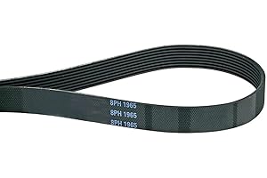 Sankuai 8ph1965 Correa de transmisión para Secadora (1965 mm, 8PH)