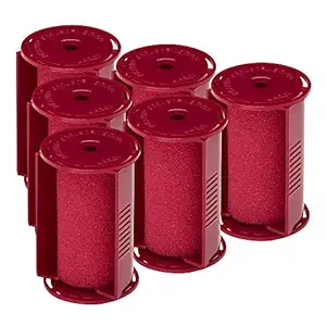 Caruso Professional Molecular Steam Rollers with Shields, Large (6-Pack)